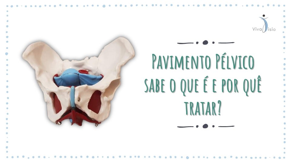 Pavimento Pélvico. Sabe o que é